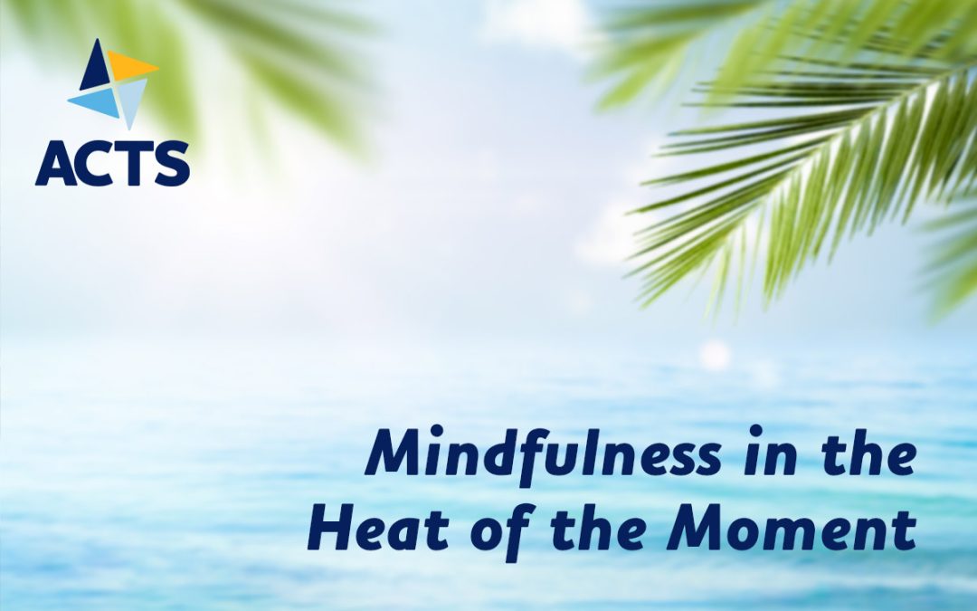 Mindfulness in the Heat of the Moment